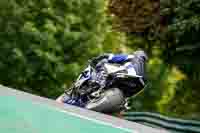 cadwell-no-limits-trackday;cadwell-park;cadwell-park-photographs;cadwell-trackday-photographs;enduro-digital-images;event-digital-images;eventdigitalimages;no-limits-trackdays;peter-wileman-photography;racing-digital-images;trackday-digital-images;trackday-photos